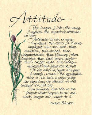311-1114-attitude