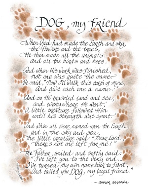 405-1114-dog-my-friend