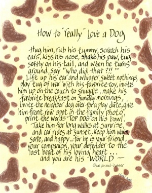 408-0810-how-to-really-love-dog