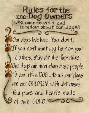 412-0810-rules-for-non-dog-owners