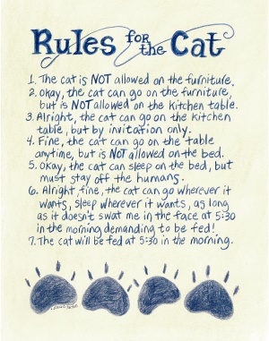 462-1114-rules-for-the-cat