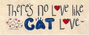 619-0410-theres-no-love-cat