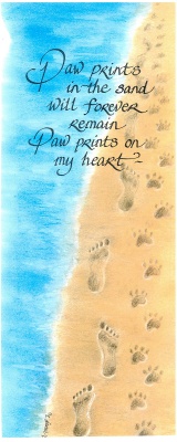 624-0410-paw-prints-in-the-sand