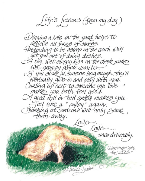 417-1114-lifes-lessons-from-my-dog