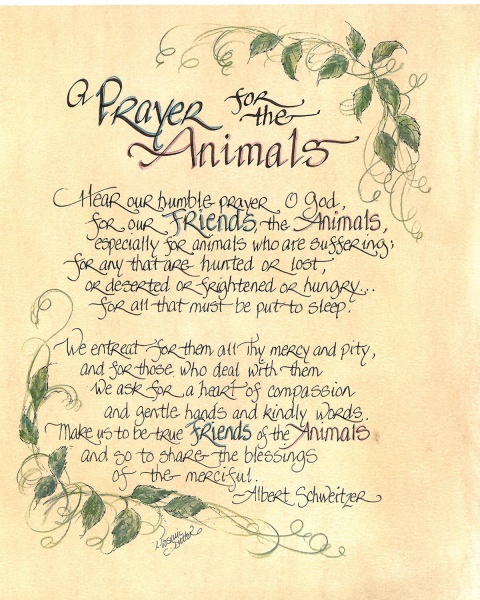 431-1114-prayer-for-the-animals