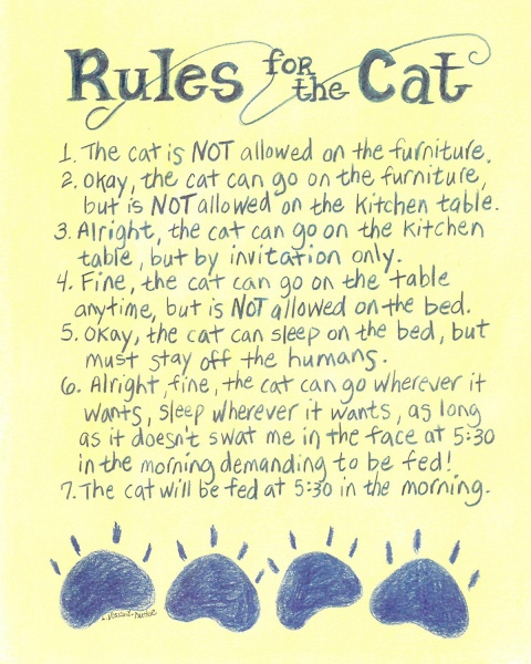 462-1114-rules-for-the-cat
